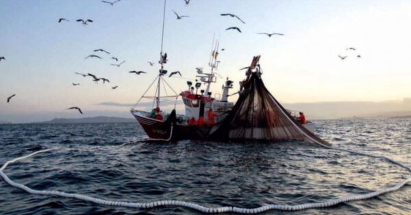 MAM -003 Patron de Pesca de tercera