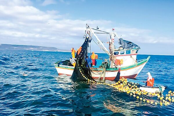 MAM -004 Patron de Pesca artesanal