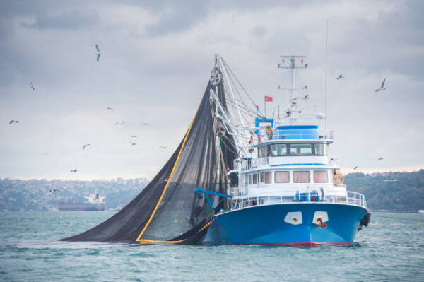 MAM -008 MARINERO DE PESCA ESPECIALIZADO.